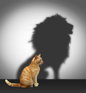 Pussy cat with shadow of a lion: Relationship Recovery and the codependent